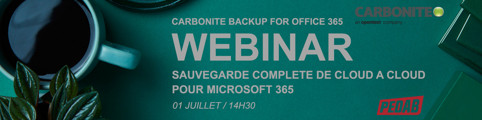 Bannière Linkedin carbonite webinar Bannière Linkedin carbonite webinar